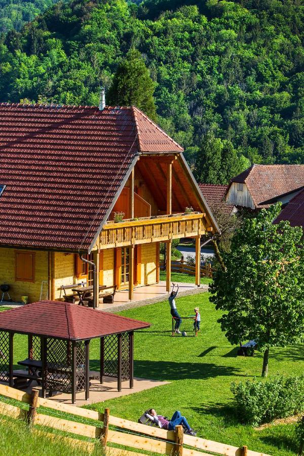 Farm Stay Pirc Laško Extérieur photo