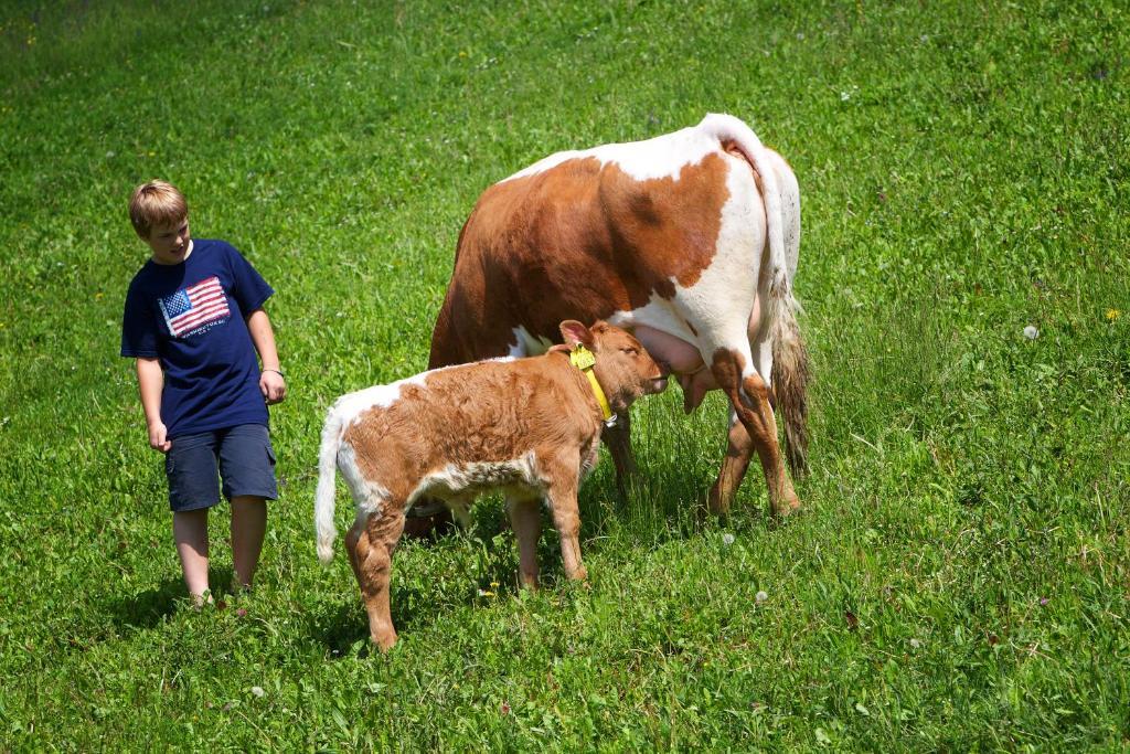 Farm Stay Pirc Laško Extérieur photo
