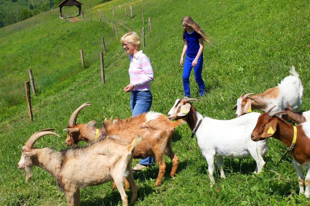 Farm Stay Pirc Laško Extérieur photo