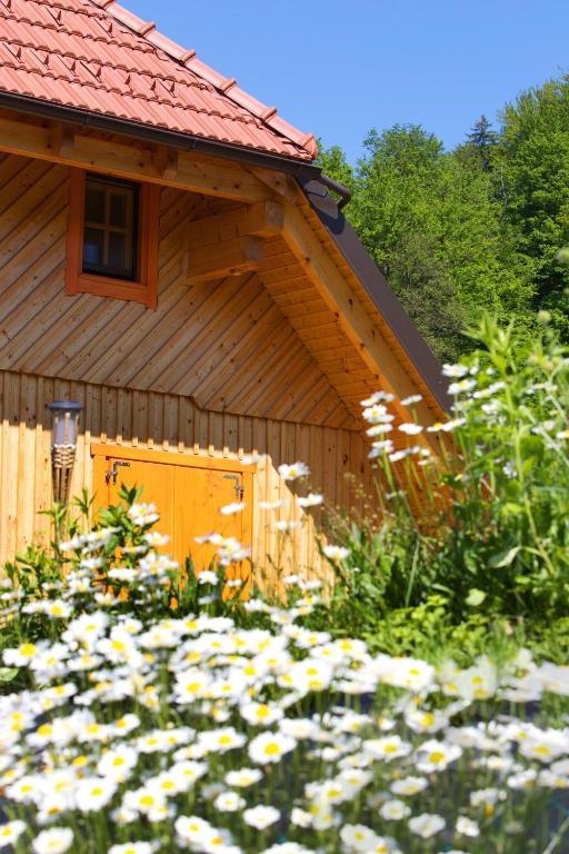 Farm Stay Pirc Laško Extérieur photo